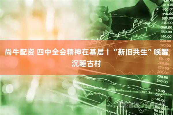 尚牛配资 四中全会精神在基层丨“新旧共生”唤醒沉睡古村